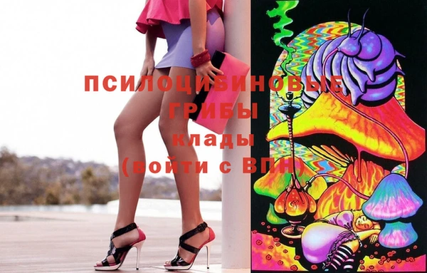 бошки Новосибирск