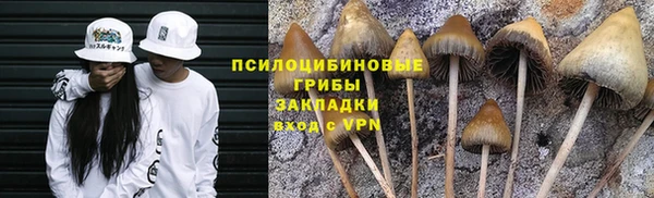 ALPHA PVP Баксан